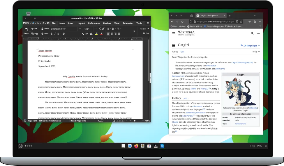 Laptop preview with screnshot of Desktop
