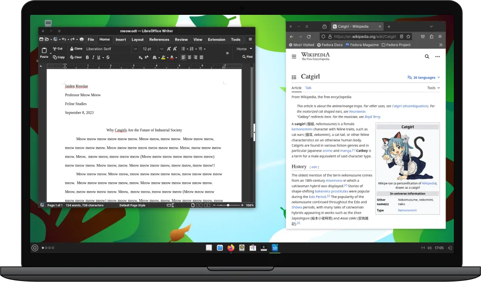 Laptop preview with screnshot of Desktop
